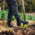 Blundstone Dress Boot, Premium Leather 663-Queensland Workwear Supplies