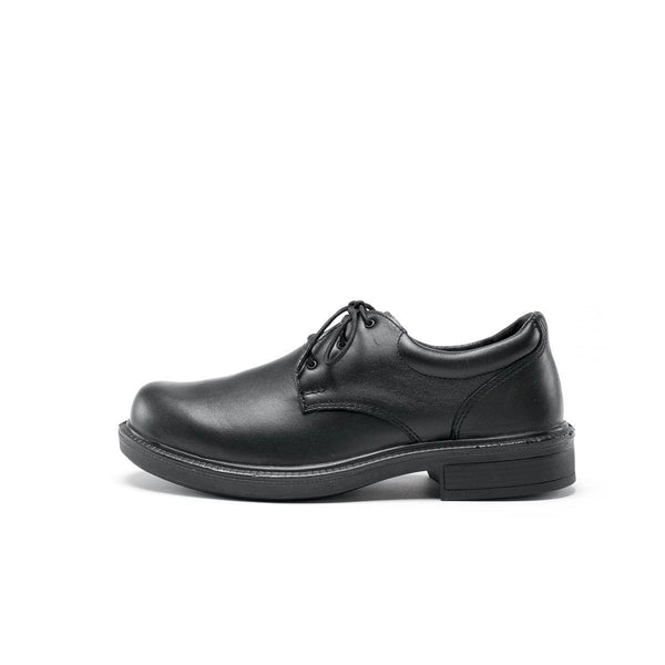 Steel Blue Harvey TPU Derby Lace Up Shoe Non Safety - 310215-Queensland Workwear Supplies